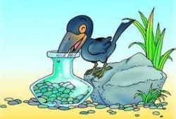 乌鸦最新爆料视频大全,揭秘娱乐圈幕后真相