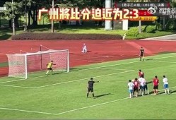 辽宁爆料假球视频最新版,辽宁爆料假球视频最新版揭露惊人内幕