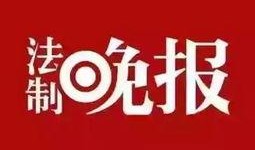 莲花卫视爆料新闻,揭秘某事件背后惊人真相
