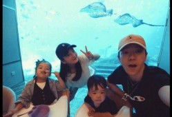 阿凯前妻爆料离婚视频,视频揭露惊人真相